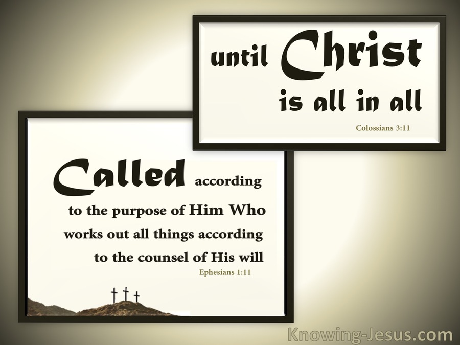 Colossians 1:11 God's Plan and Purpose (devotional)11:10 (brown)